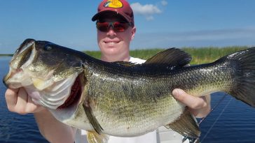 How to Catch a Florida Big Bass