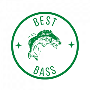 Best Bass Fishing Today